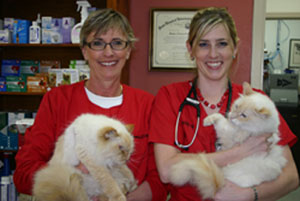 The "B" Team at Bozeman Animal Clinic